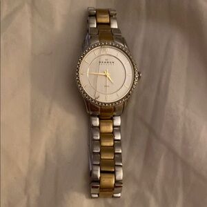 Skagen Silver and Gold Watch with Crystal Bezel